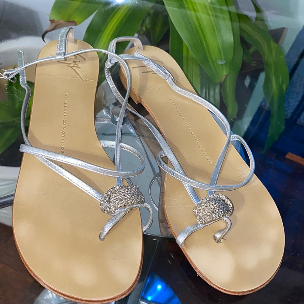 Giuseppe zanotti